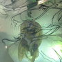 Img_2042_large