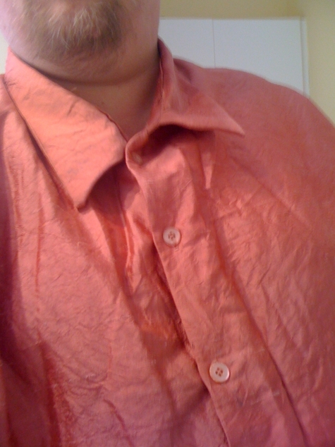 Silkshirt01mod_large