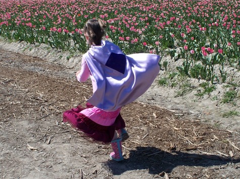 Super_hero_cape_1_large