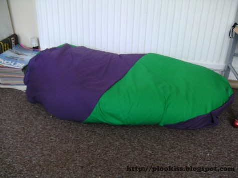 Completed_bean_bag_large