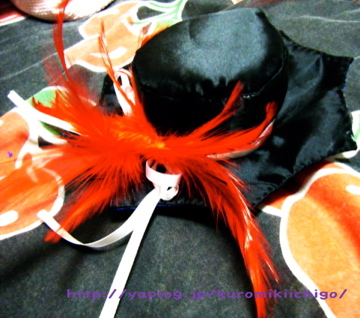 Dscf6292_large