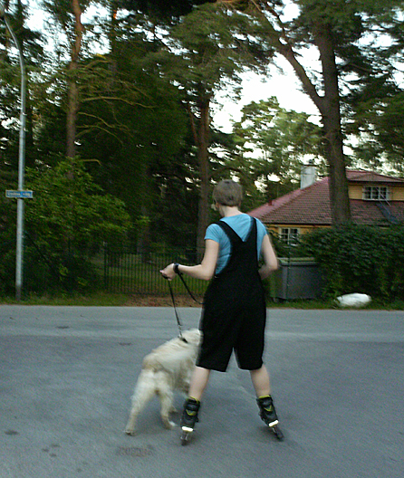 Pamomimmi_large