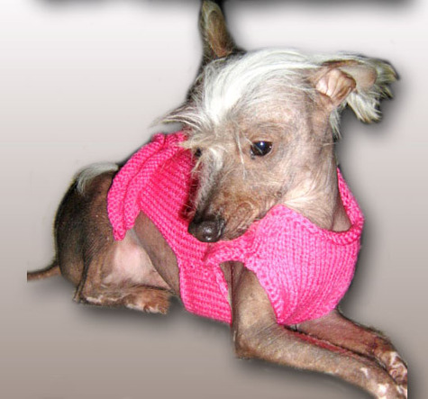Pink_tutu_edit_copy_large