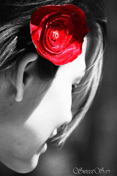 Etsyredflowerheatherj_large
