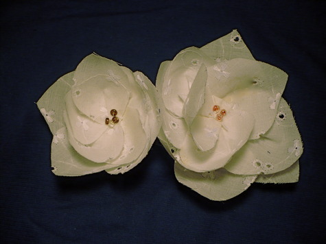 P1040893_large
