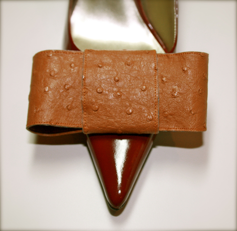 Shoebow_large