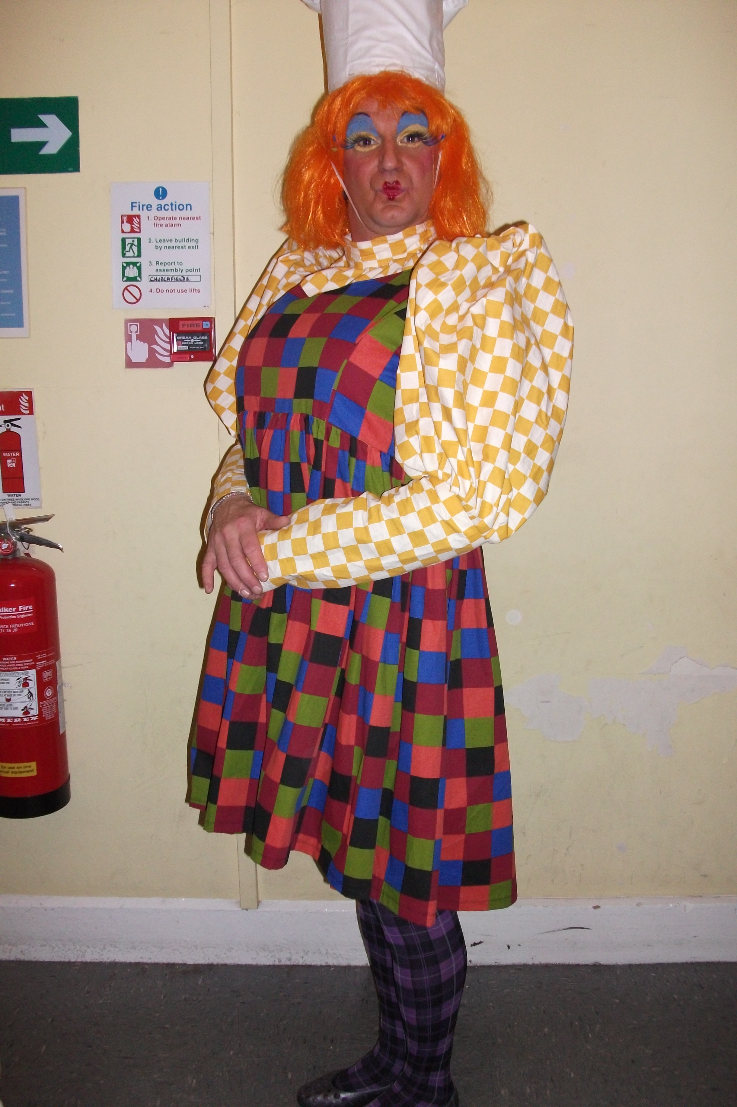 dame panto costumes projects burdastyle sewing