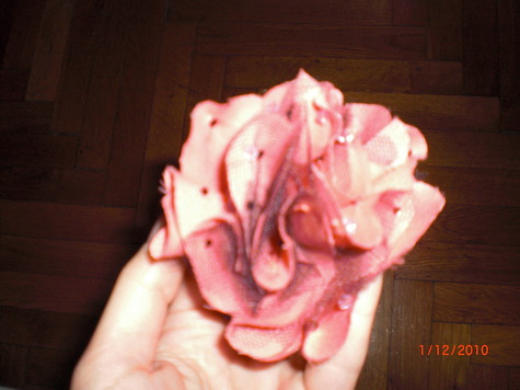 Cimg1289_large