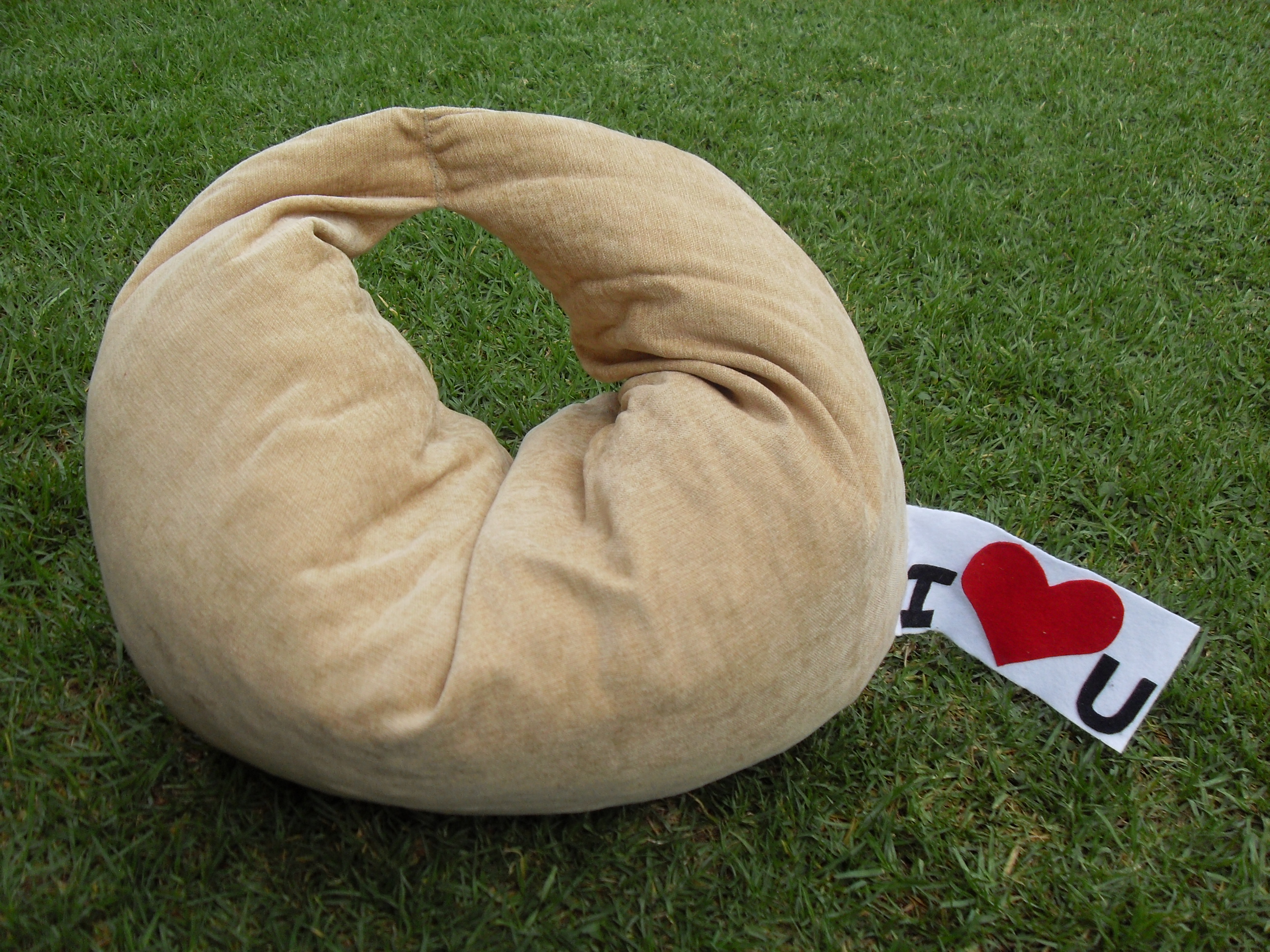 cookie pillow