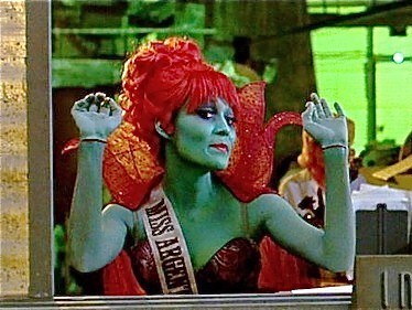 Beetlejuice_miss_argentina_fire_cape_large