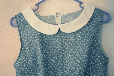 Collar_close_up_large