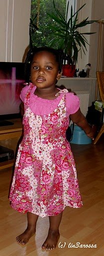 Cimg0809_large