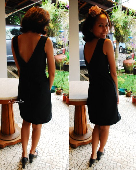 Lbd1_large