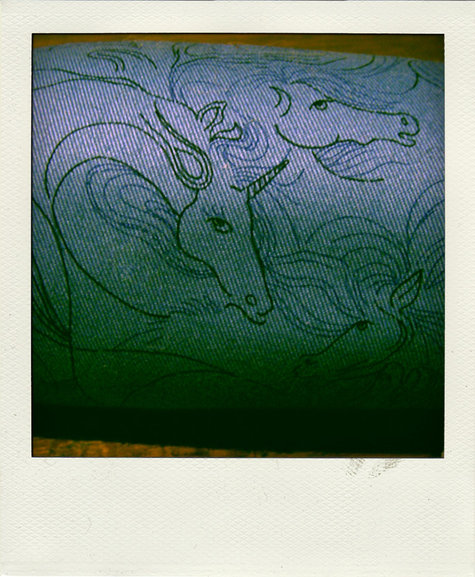 000_0197-pola_large