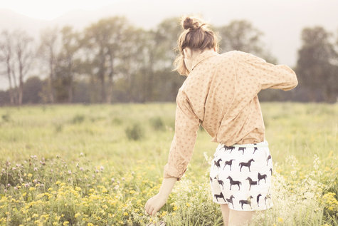 Pony_shorts_2_large