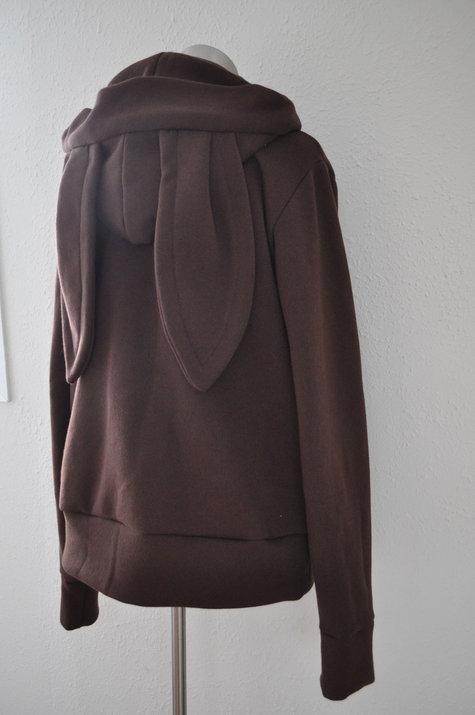 Brownbunny5_large