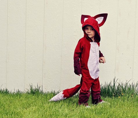 Fox3_large