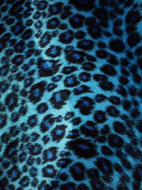 Leo4_large