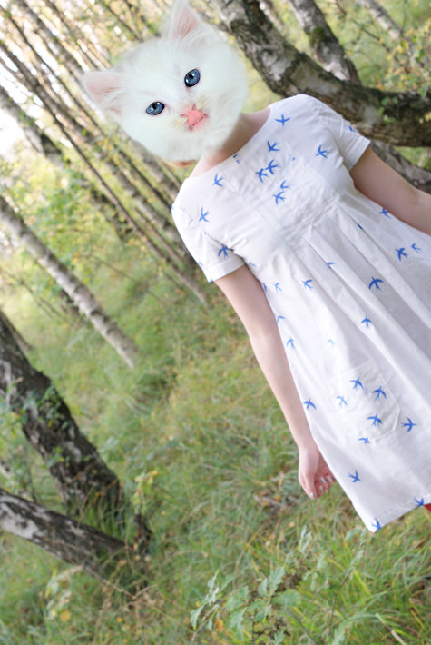 Dsc00922_large