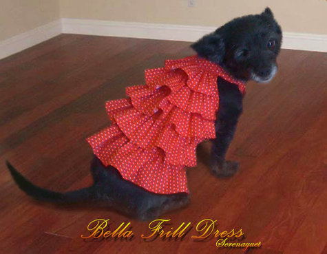 Bella_frill_dress_2__large
