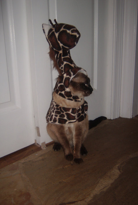 Free crochet snowman pattern