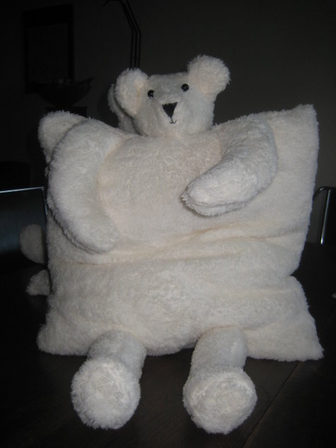 Scater_teddy_004_large
