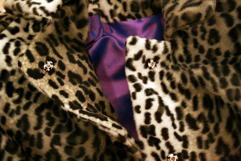 Snow_leopard_poppers_large