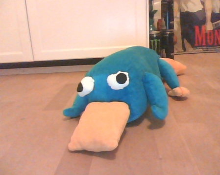 perry the platypus plush