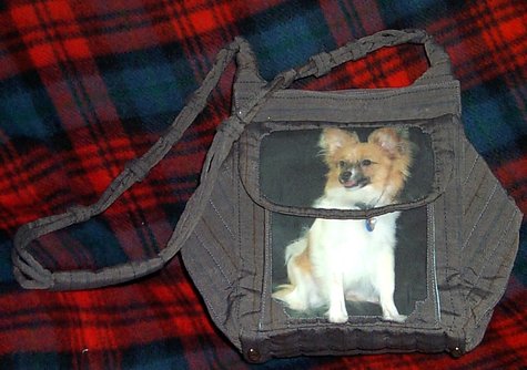 Oscar_purse_christmas05_large