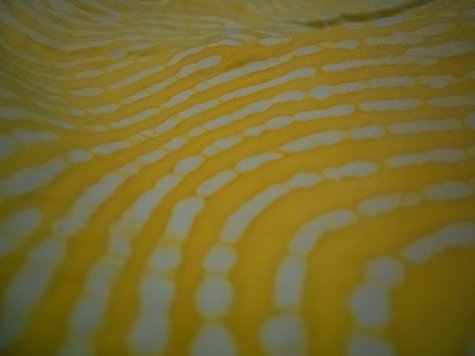 Random_015_large