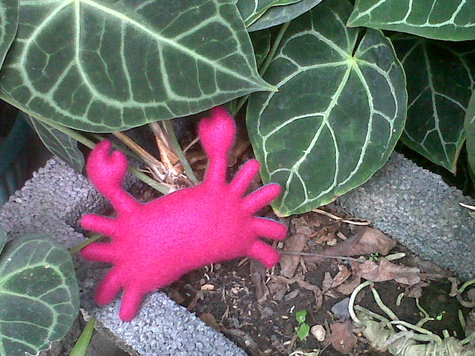 Krab_outside_large