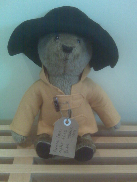Paddington-yellow_large