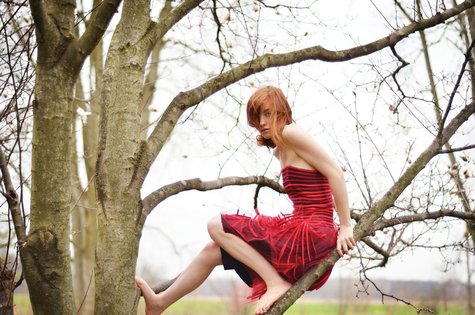 Dsc_8749_large