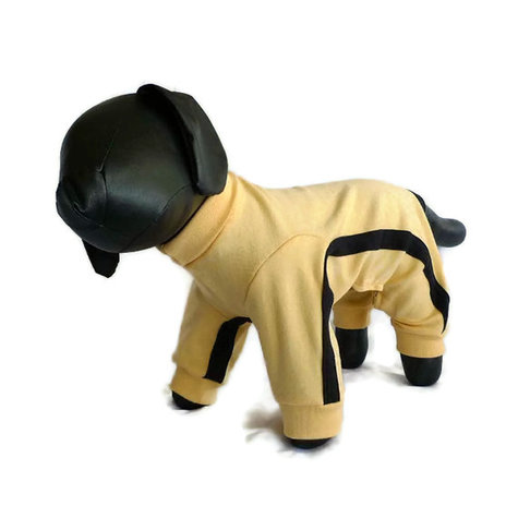 Dog1_large