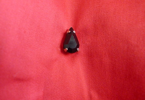 P1020057_large