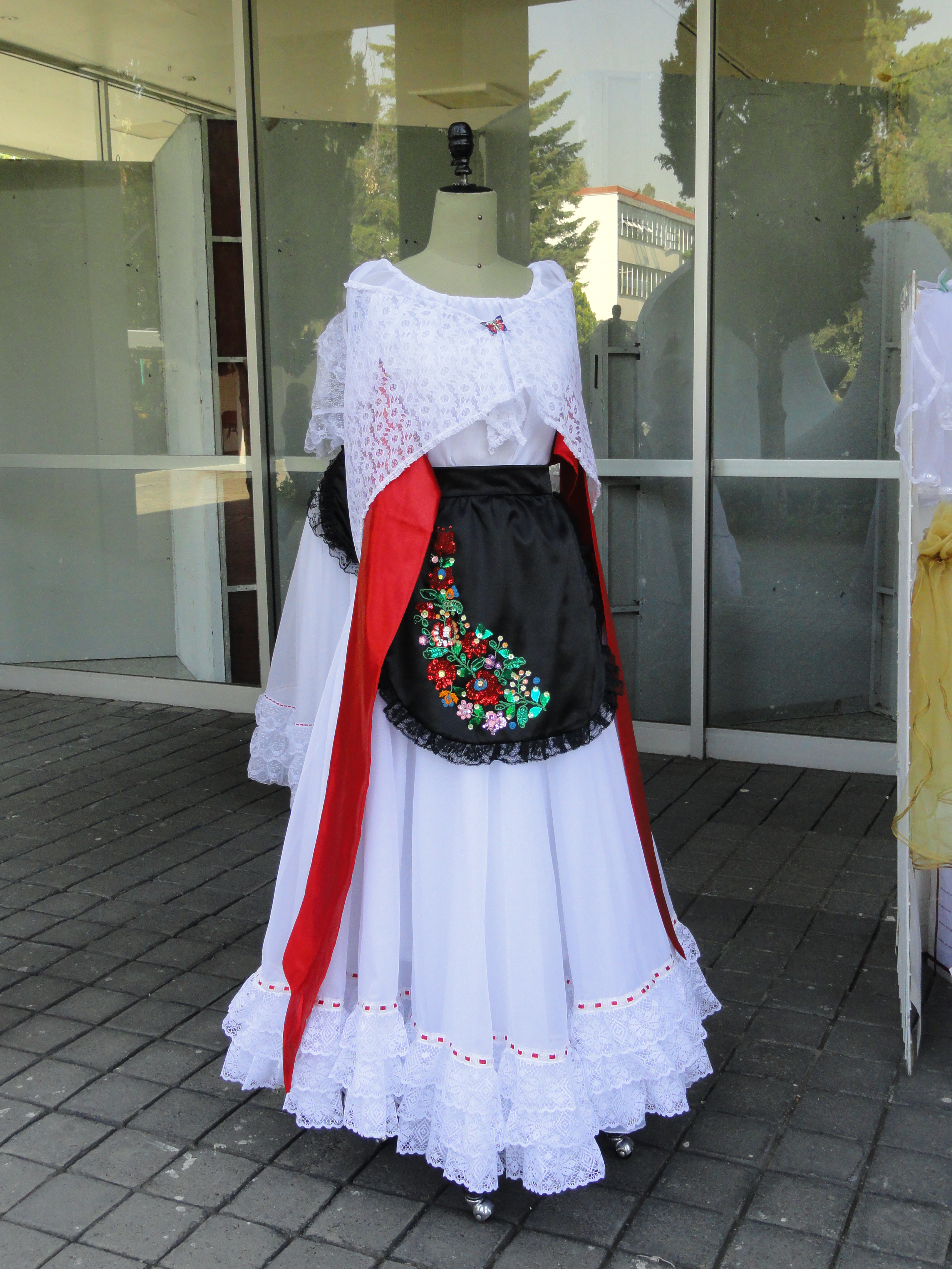 Vestido Tipico de Veracruz México / Traditional Veracruz ...