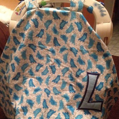 Carseatcover_large