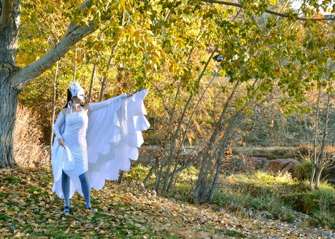 Dsc_0102_large