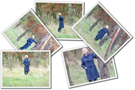 Erd_koll_zs_large