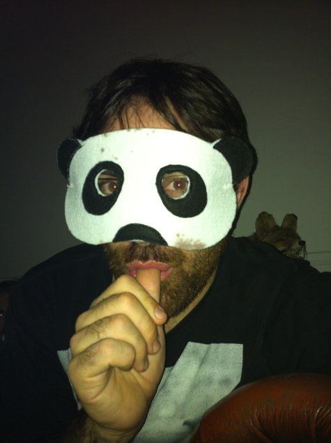 Panda_1__large