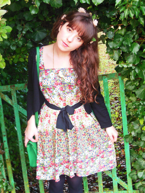 Fairy_dress_5__large
