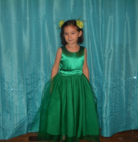 Green_frosting_front_2_large