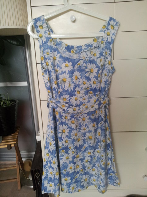 Dress_blue_daisies_large