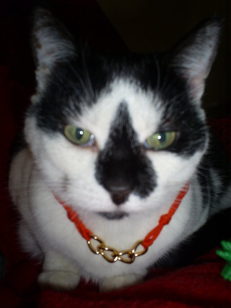 Chain_necklace_1_large