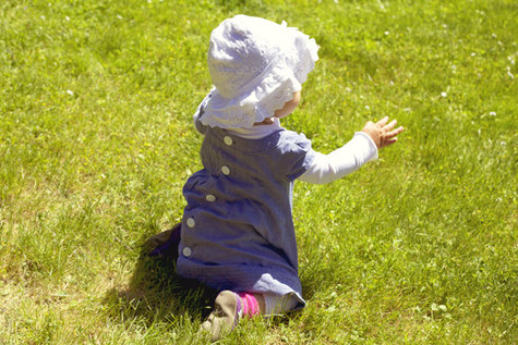 Img_6229-copy_large
