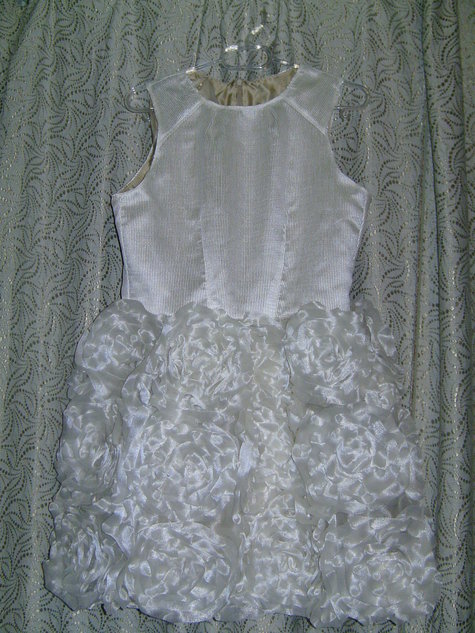 Bild6395_large