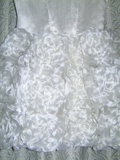 Bild6396_large