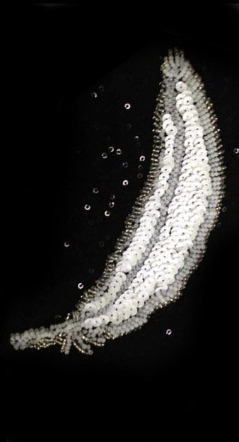 Image_1361752529323548_large
