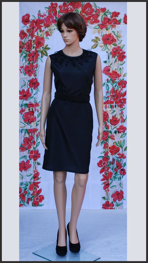 Lbd1_large