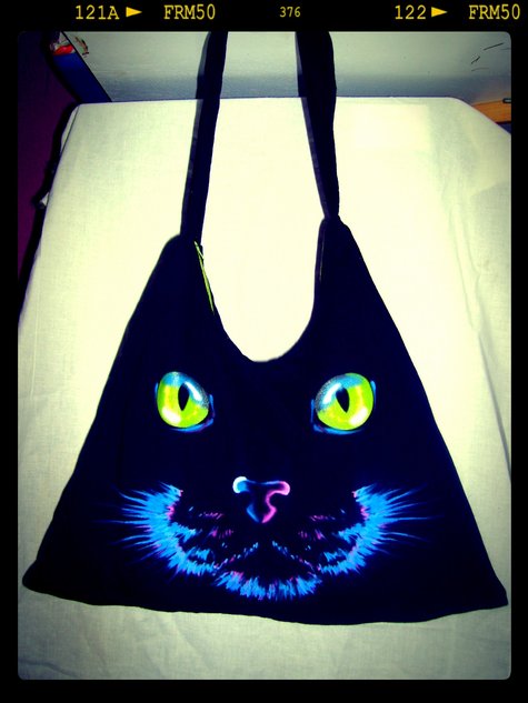 Wide_shot_cat_bag_large